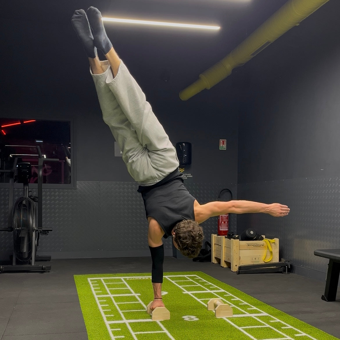 Premium Wooden Parallettes