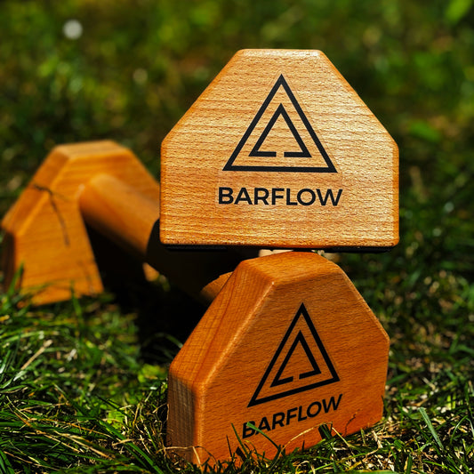 Wooden Parallettes
