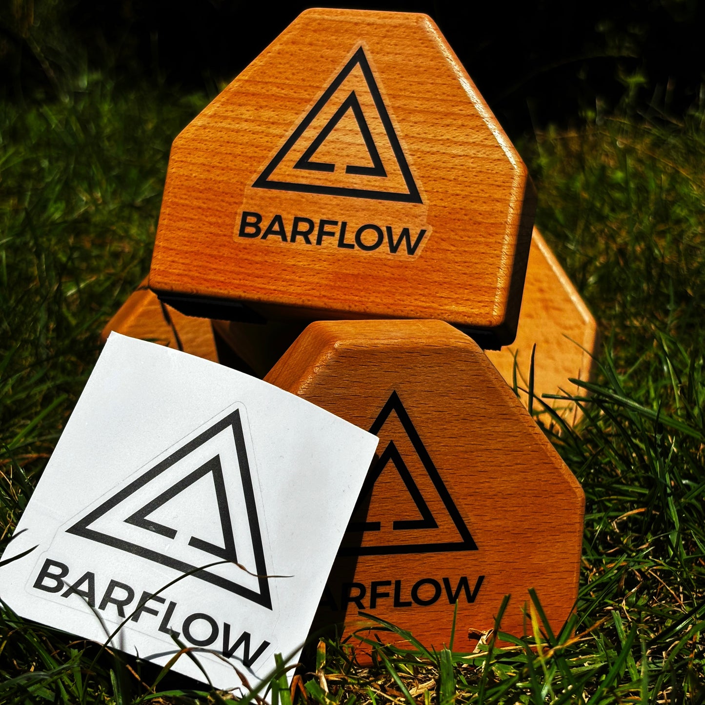 Wooden Parallettes